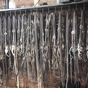 Meet your Posher, Sydney